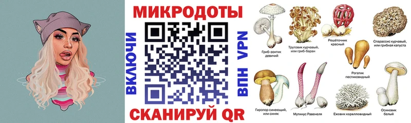 гидра рабочий сайт  Сураж  Псилоцибиновые грибы мицелий 